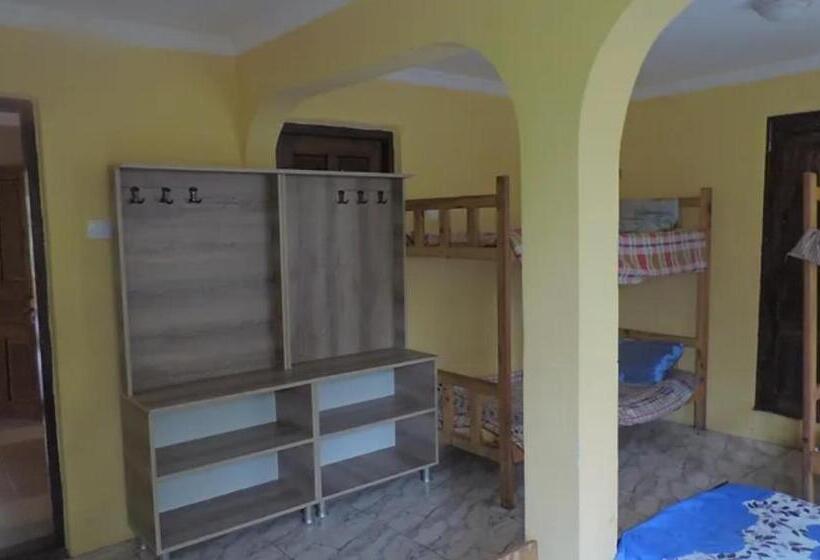 اتاق خانوادگی, Ok House!