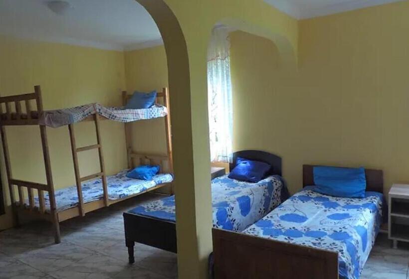 اتاق خانوادگی, Ok House!