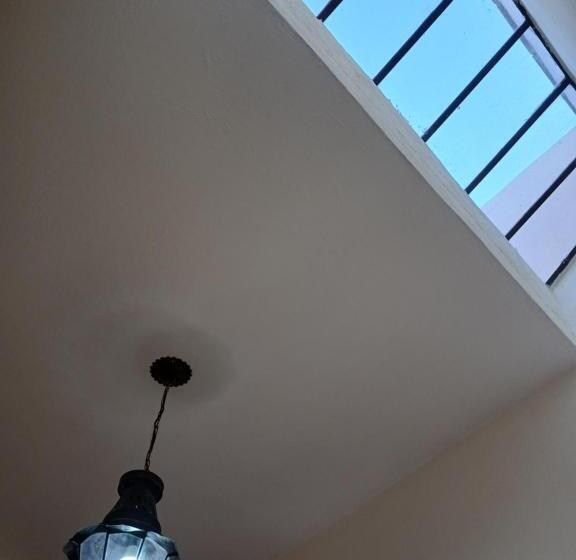 Apartamento 1 Quarto Rés-do-chão, Posada Rosa