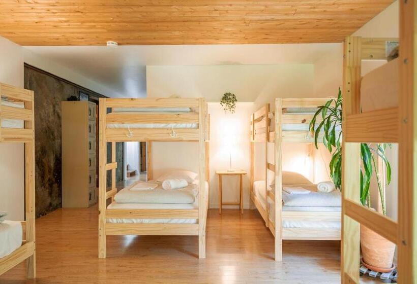 Четырехместный Номер Economy, Auberge Yoga Salamandre