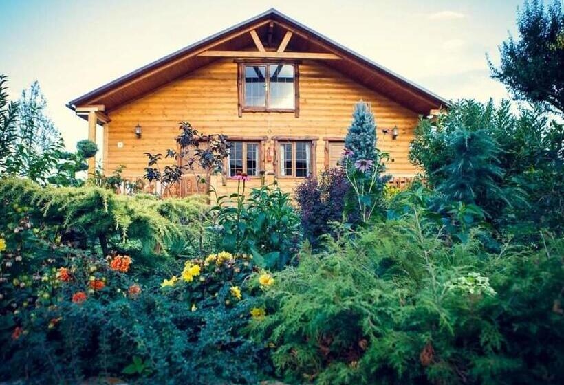 Номер Стандарт с Террасой, Grig House Eco Resort