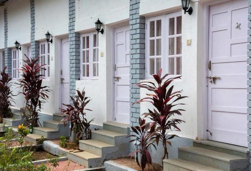 Номер Стандарт, Arambol Plaza Beach Resort