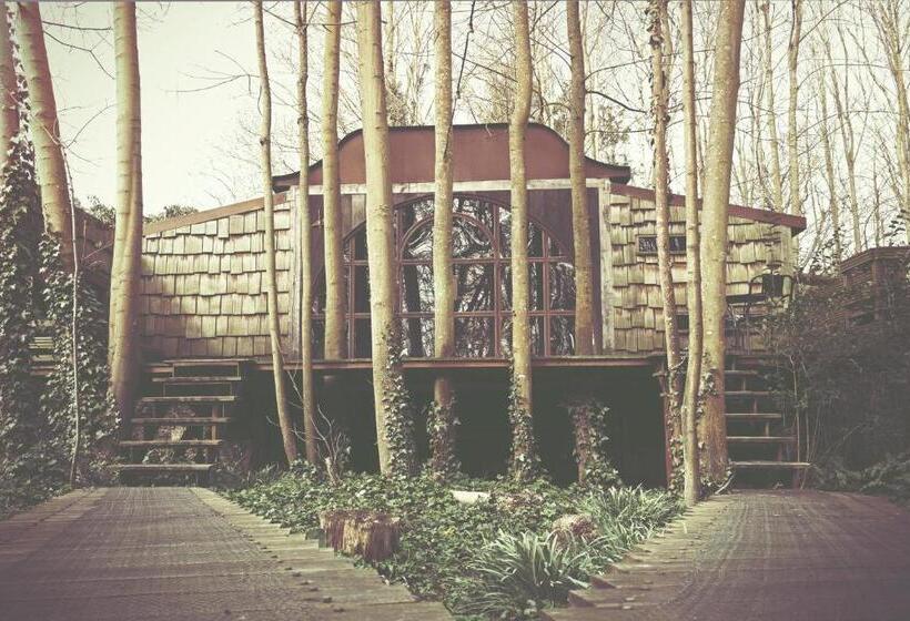 Шале 1 Спальня, La Petite Fabriek