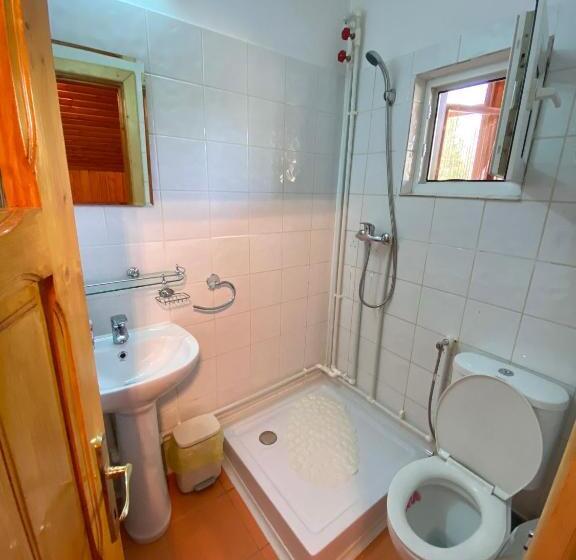 اتاق استاندارد, Casa De Vacanta Catrinel