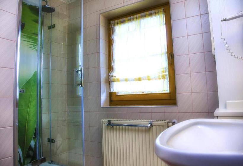 Апартаменты 1 Спальня с Балконом, Gästehaus Götz