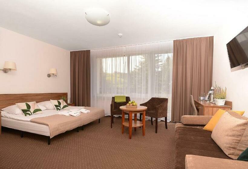 اتاق استاندارد سه نفره, Skalny Spa Bieszczady