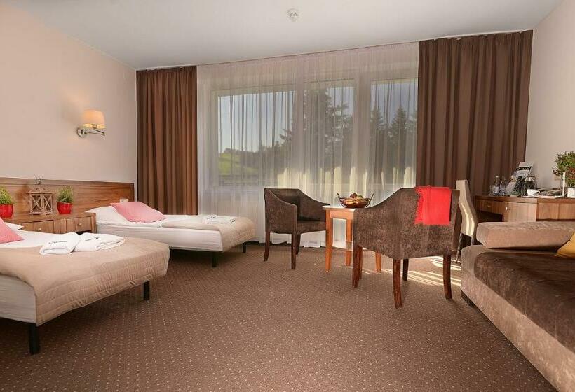 اتاق استاندارد سه نفره, Skalny Spa Bieszczady