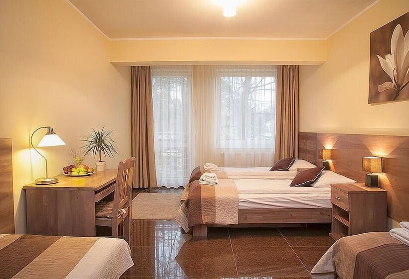 اتاق استاندارد چهار تخته, Planeta Hotel & Restauracja