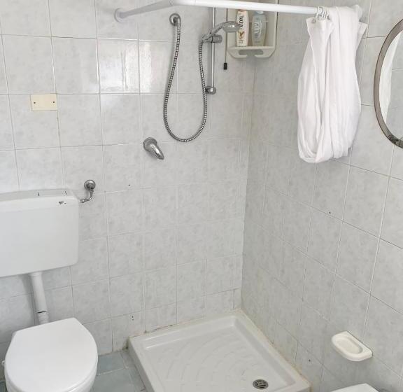 استودیو استاندارد با بالکن, Appartamento Meri, Montecatini Terme