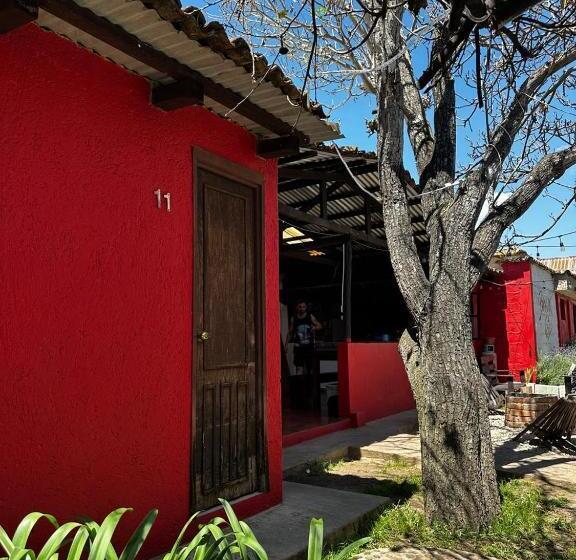Номер Стандарт, B61 Hostal