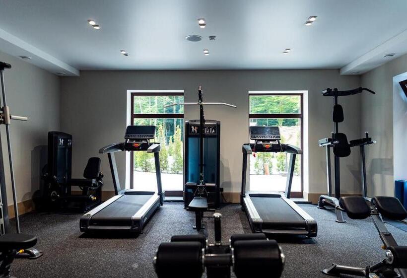 اتاق استاندارد, Park Hotel Bristol