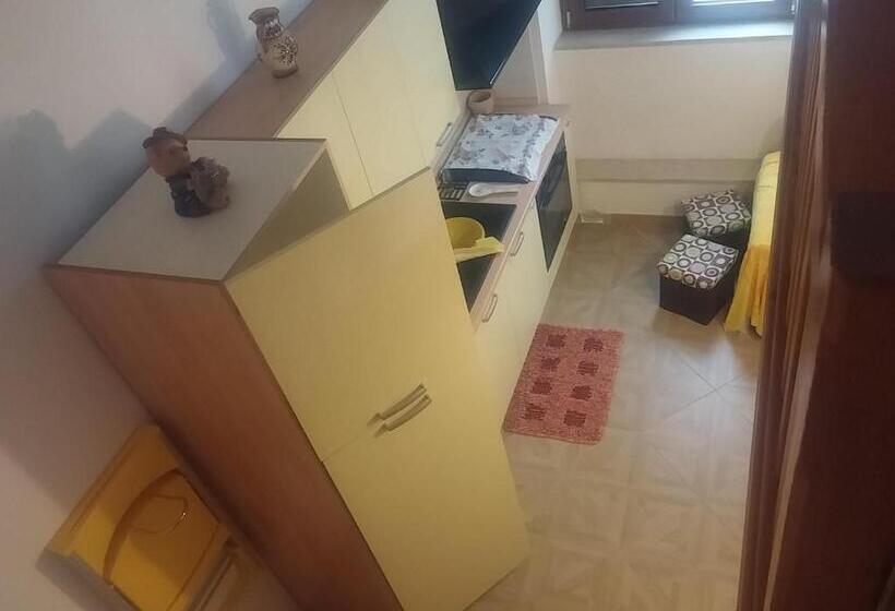 Номер Стандарт, Sapri Holidays