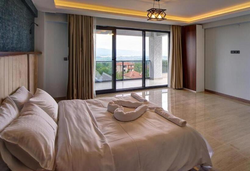 اتاق استاندارد با تراس, Timeless Kartepe