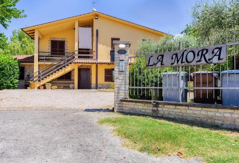 آپارتمان 1 خوابه, Agriturismo La Mora   Acquario