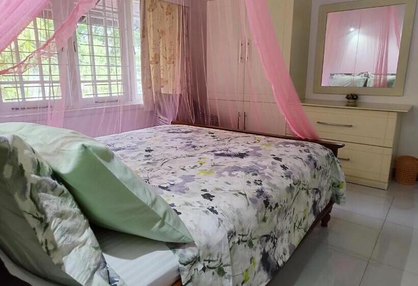 Номер Стандарт, Boztreve Home