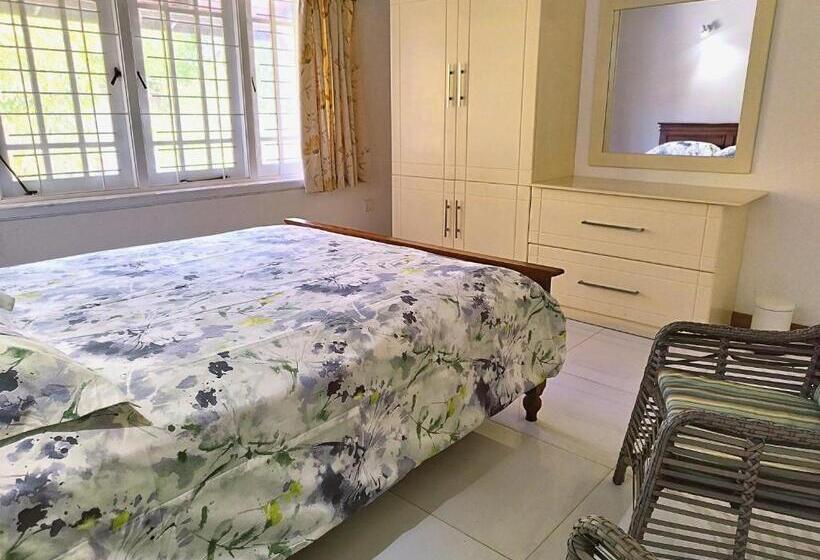 Номер Стандарт, Boztreve Home