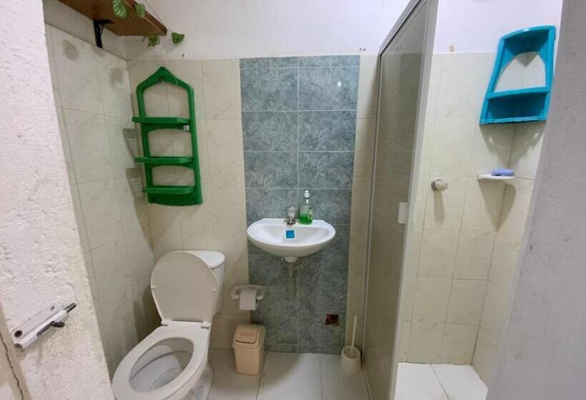标准单人间, Casa Universitaria El Trebol