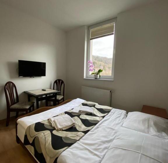 Номер Economy, Guest House Penzión Fortuna