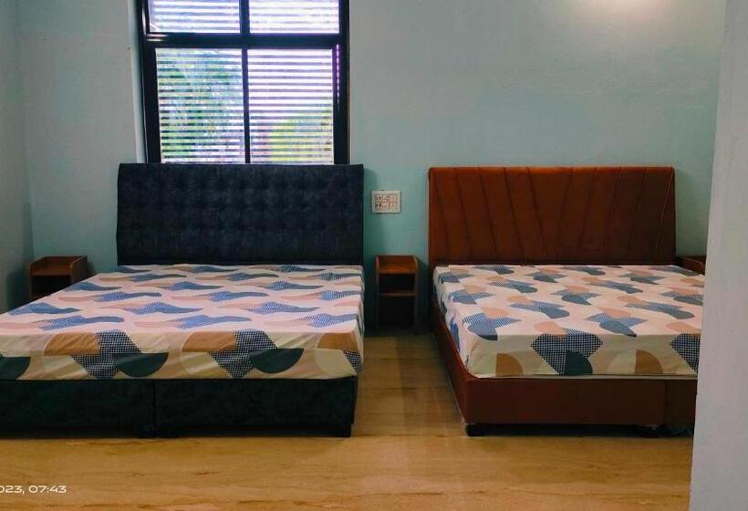 三人经典房间, Nidhivan Guest House