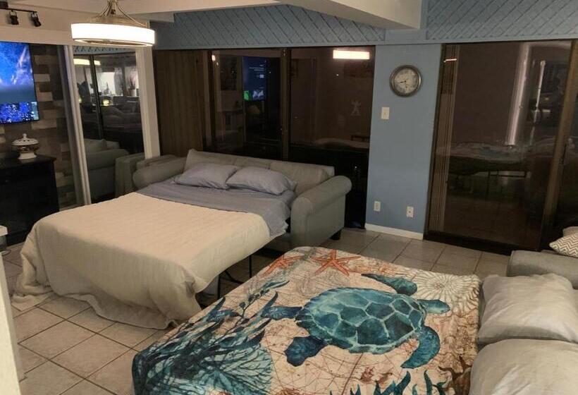اتاق خانوادگی, Amazing And Spectacular Beach Views In Galveston