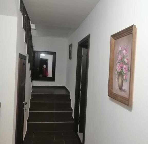 ویلای 1 خوابه, Casa Nobilis Plus