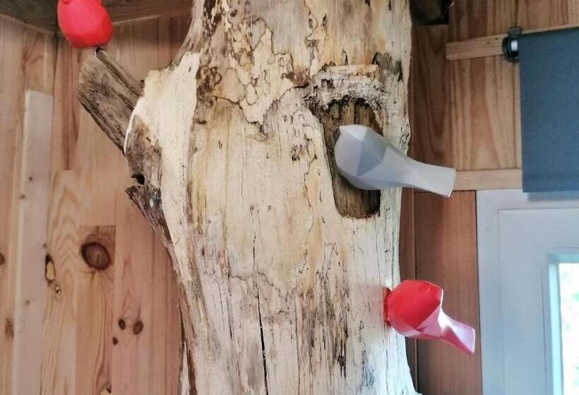 Номер Стандарт, Cabane Perchée Avec Terrasses, Salle De Bain, Kitchenette, Petit Déjeuner Inclus Et Accès Piscine