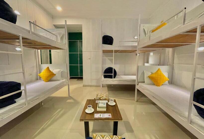 공동 객실, The Wraveler Tapovan Rooms And Dorms