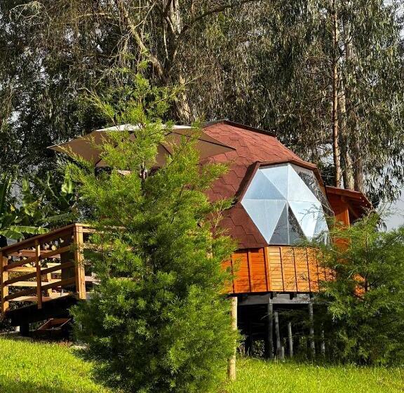 Номер Стандарт с Гидромассажем, Glamping Shalom