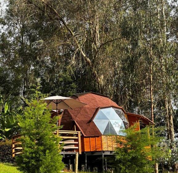 Номер Стандарт с Гидромассажем, Glamping Shalom