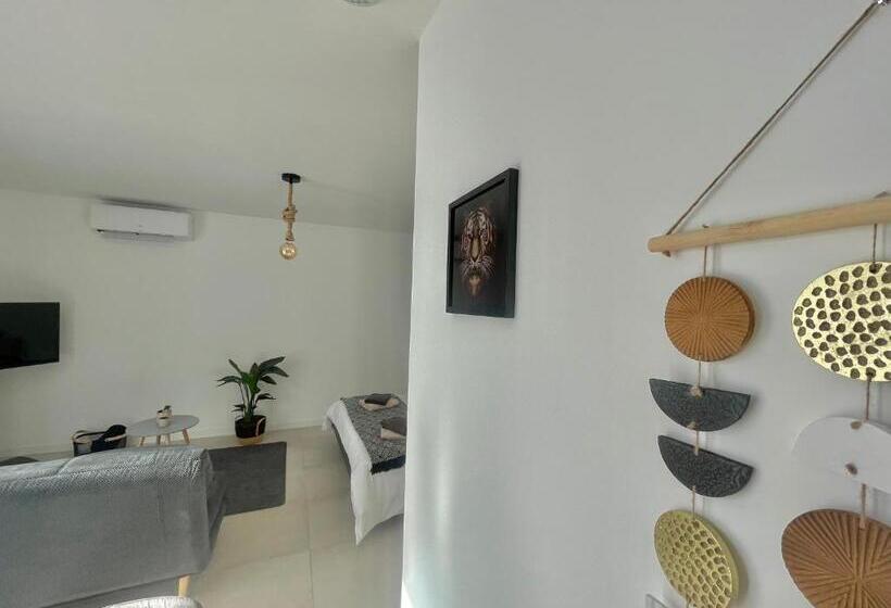 Студия Стандарт, Appart Ici   Numéro 2   Spacieux Studio Tout équipé
