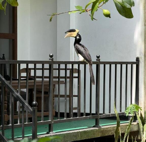 اتاق خانوادگی با چشم‌انداز باغ, Elite Safari Resort