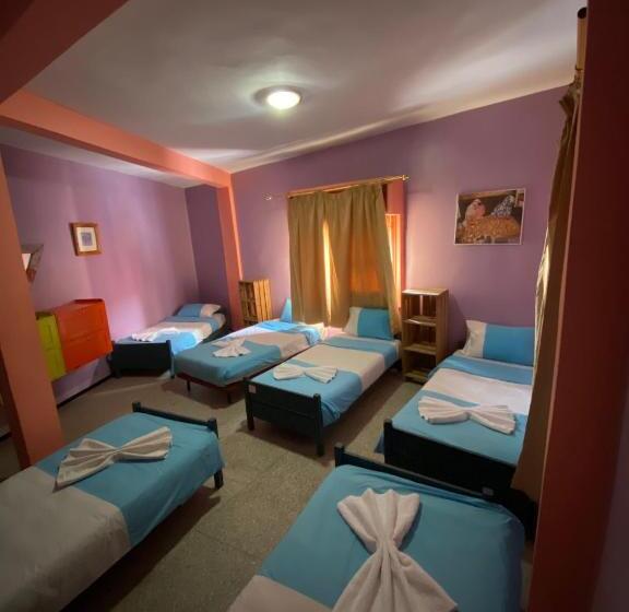 سرير فى غرفة مشتركه, Adventurekeys Surf Yoga Cowork