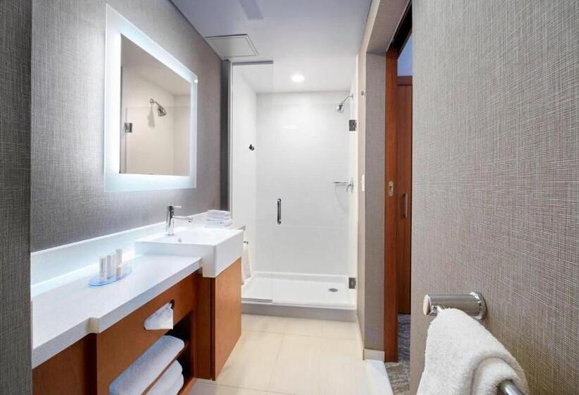 מיטת קינג בסוויטה, Springhill Suites By Marriott Dayton Beavercreek