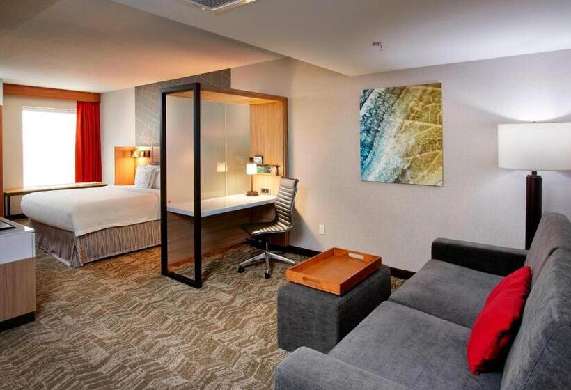 Люкс Адаптированный для Инвалидов, Springhill Suites By Marriott Dayton Beavercreek