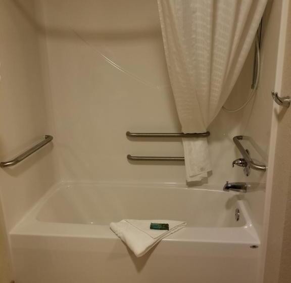 장애인을 위한 킹사이즈 침대 스탠다드 룸, Cobblestone Inn & Suites   Clarion