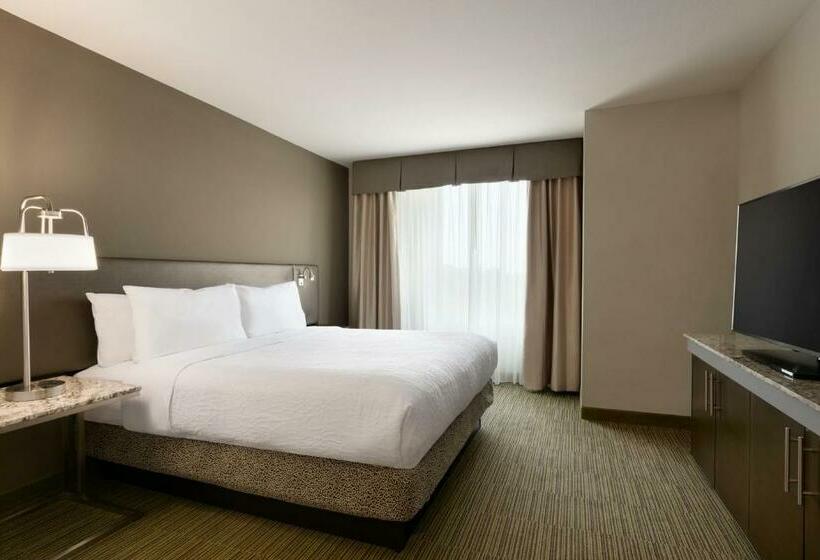 Стандартный Номер Кровать Кинг, Hilton Garden Inn Statesville