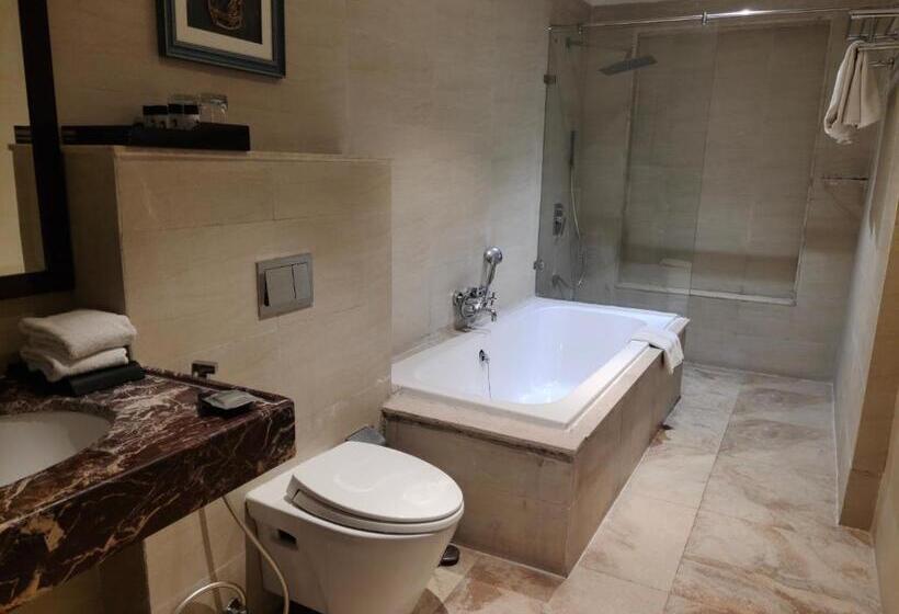 디럭스 룸, Raajsa Resort Kumbhalgarh