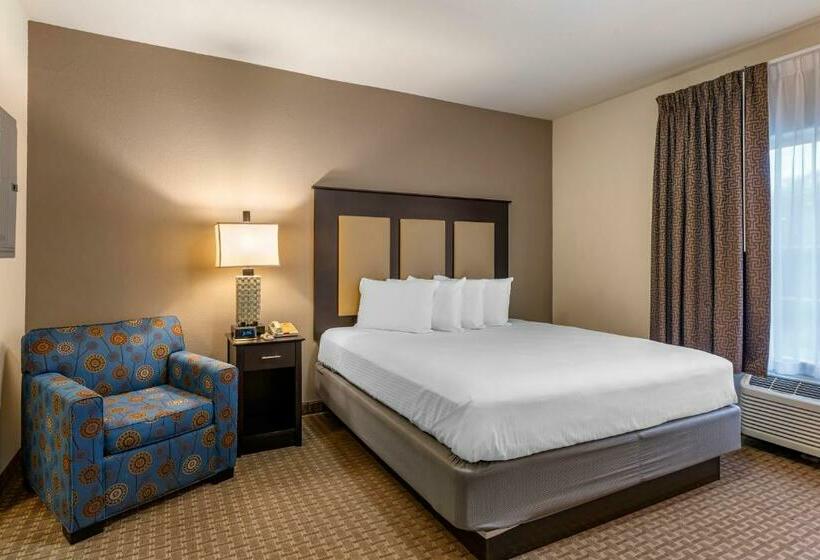 套房, Stay Over Suites   Fort Gregg Adams Area