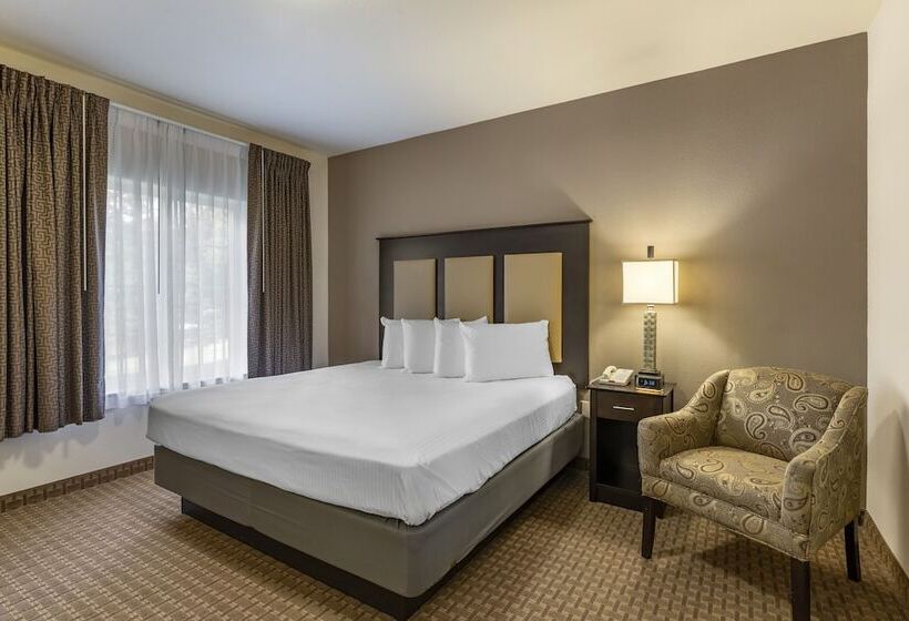 豪华套房, Stay Over Suites   Fort Gregg Adams Area