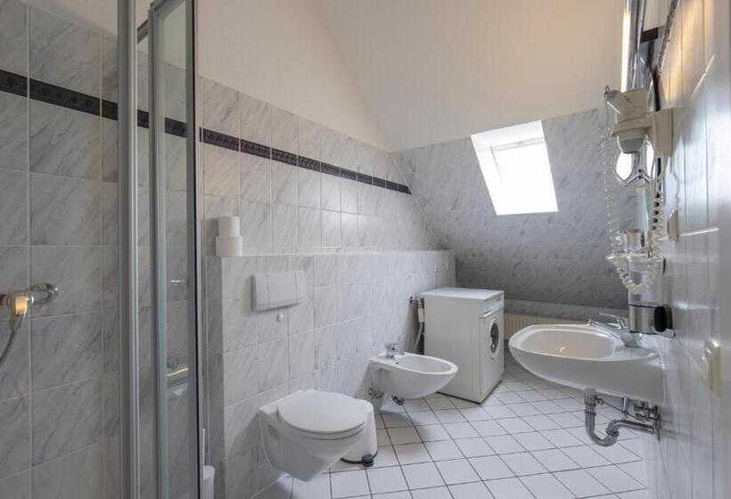 Апартаменты 1 Спальня, Altstadthotel Eibsen