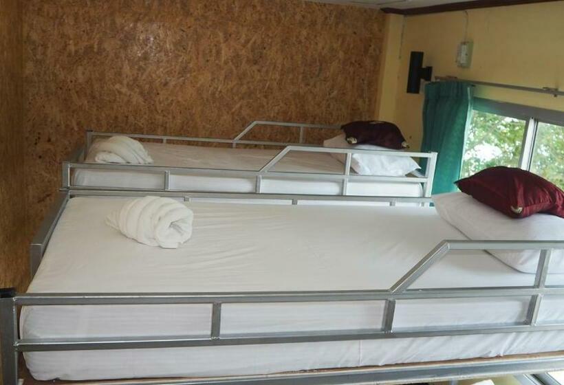 Кровать в Общей Комнате, Chaokoh Phi Phi Hostel