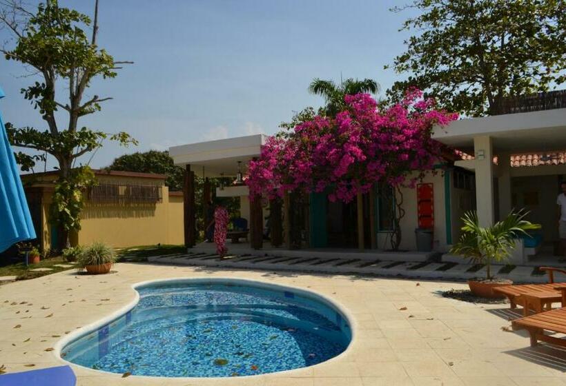 스탠다드 룸 바다 전망, Aite Eco Resort