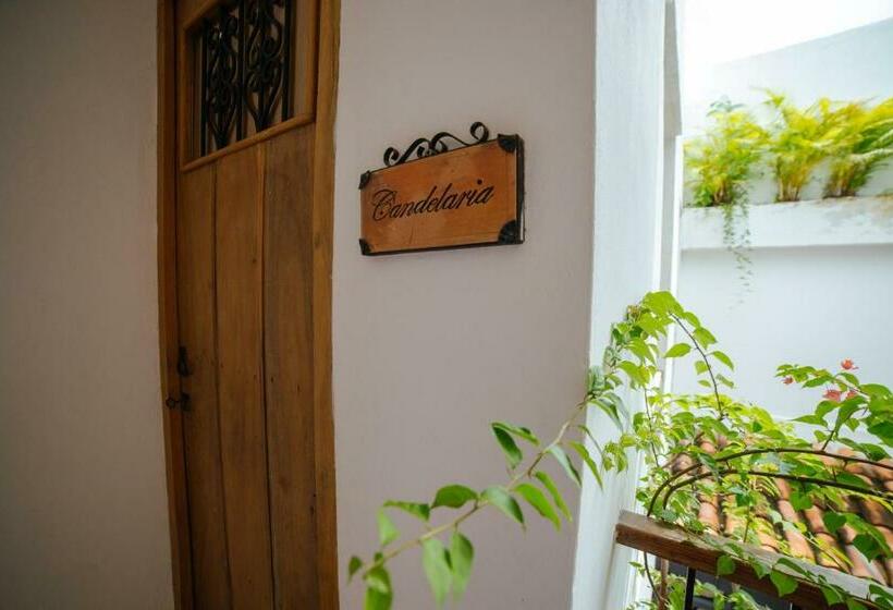 اتاق لوکس با بالکن, Bioma Boutique