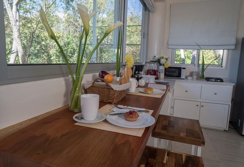 סוויטה דלוקס, Moana Surf Resort
