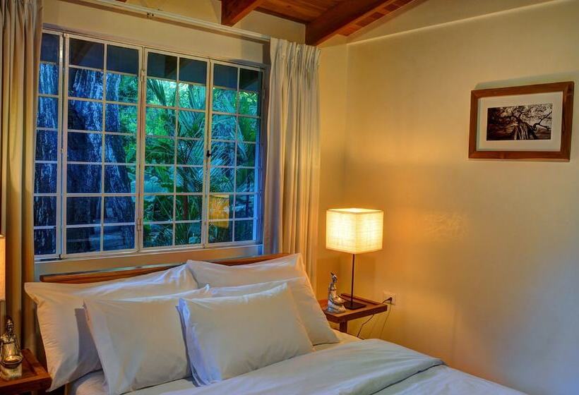 וילה דלוקס חדר שינה 1, Moana Surf Resort
