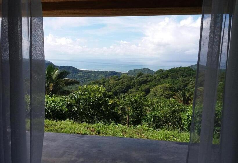 高级海景房, Peace & Lodge