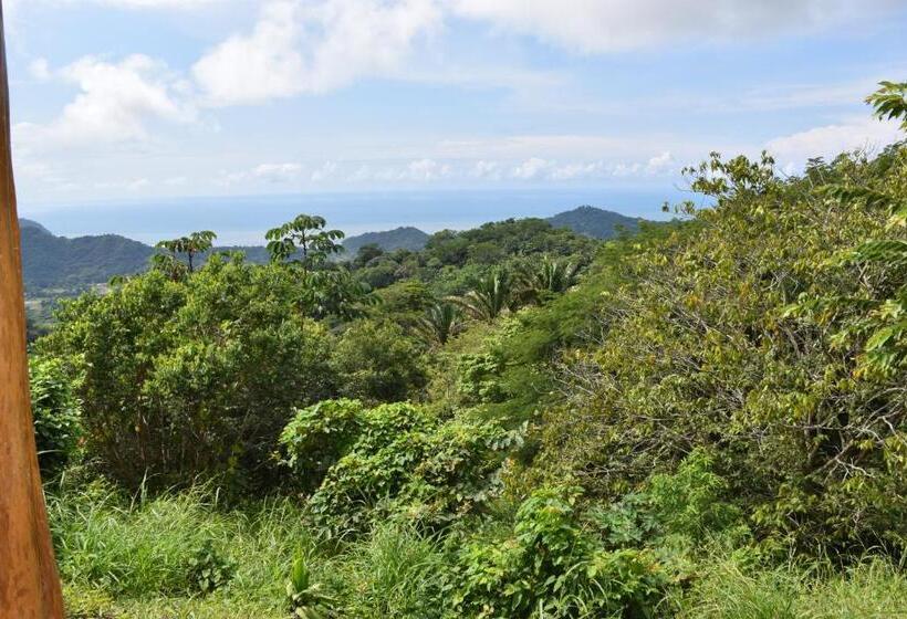 بنجلو عائلى, Peace & Lodge