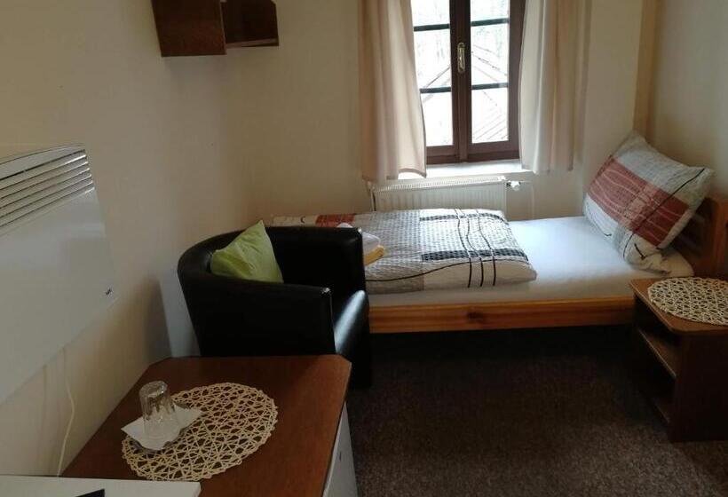 单人基本间, Rodinný Hotel Myslivna