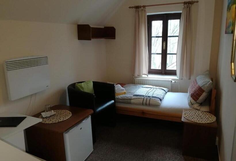 Одноместный Номер Basic, Rodinný Hotel Myslivna