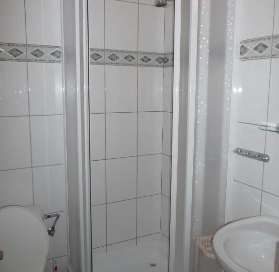 Одноместный Номер Basic, Rodinný Hotel Myslivna